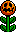 Pumpkin Plant