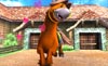 Happy horse
