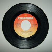 Buckner & Garcia - Do the Donkey Kong (Single)