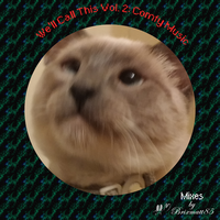 MANSS Vol. 2