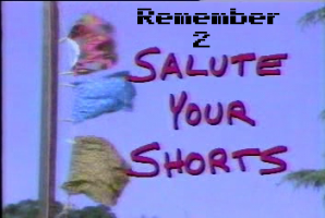 Remember 2 Salute Your Shorts