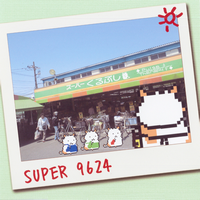 Super 9624