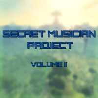 Secret Musician Project – Volume 2